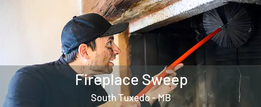  Fireplace Sweep South Tuxedo - MB