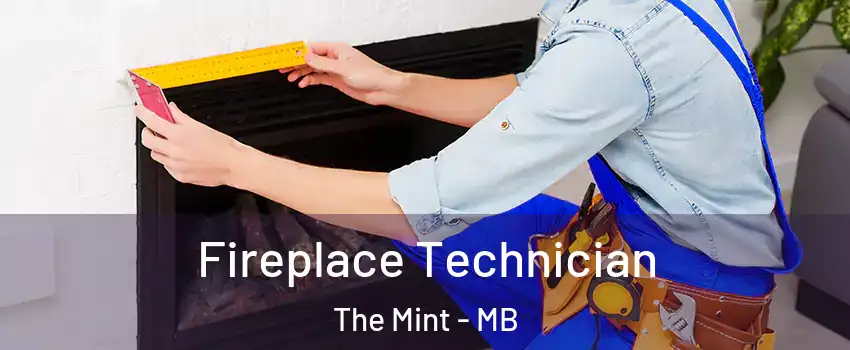  Fireplace Technician The Mint - MB