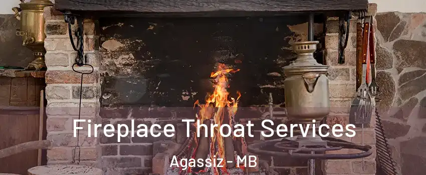  Fireplace Throat Services Agassiz - MB