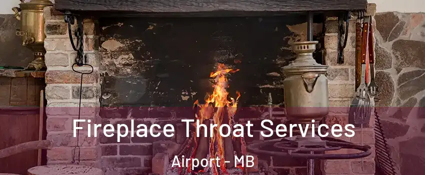  Fireplace Throat Services Airport - MB
