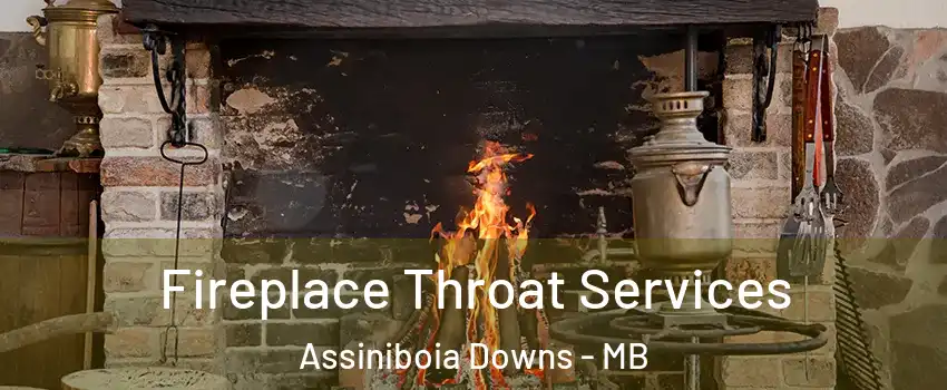  Fireplace Throat Services Assiniboia Downs - MB