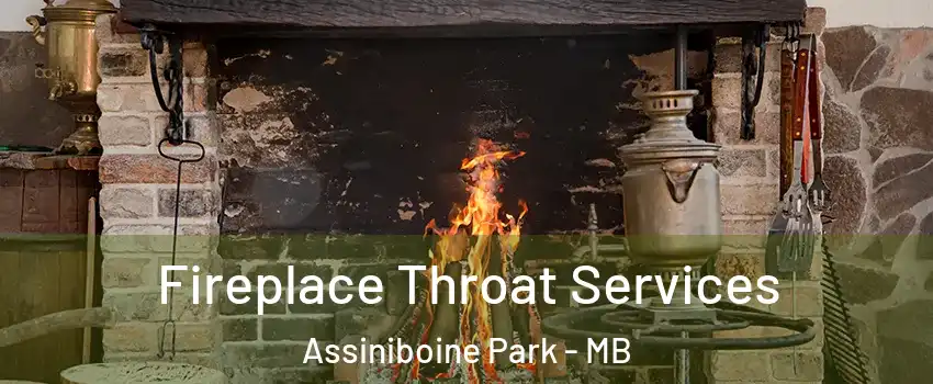  Fireplace Throat Services Assiniboine Park - MB