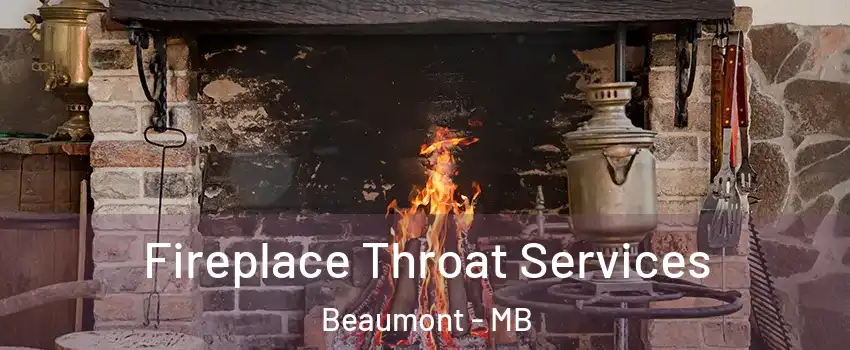  Fireplace Throat Services Beaumont - MB