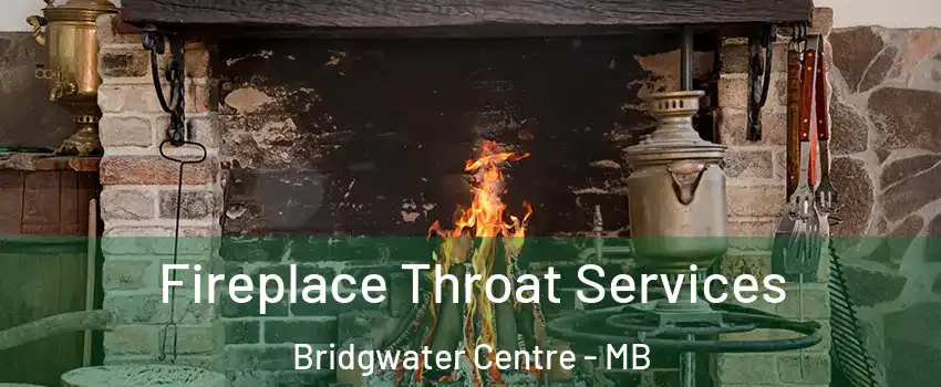  Fireplace Throat Services Bridgwater Centre - MB