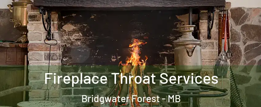 Fireplace Throat Services Bridgwater Forest - MB