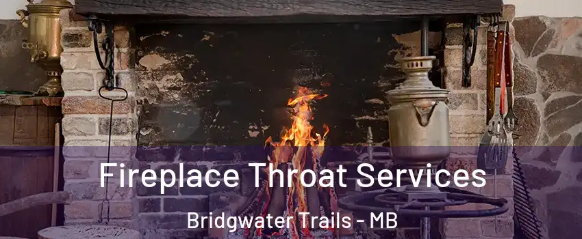  Fireplace Throat Services Bridgwater Trails - MB