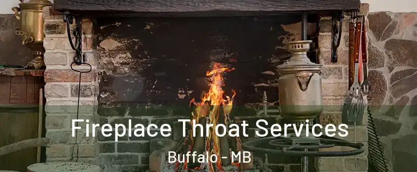  Fireplace Throat Services Buffalo - MB