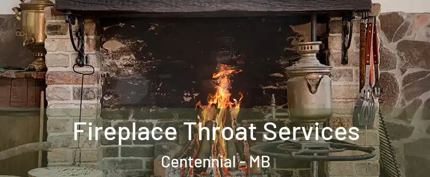  Fireplace Throat Services Centennial - MB