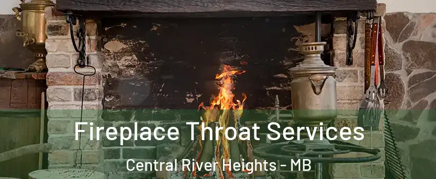  Fireplace Throat Services Central River Heights - MB