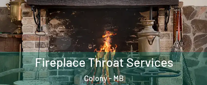  Fireplace Throat Services Colony - MB