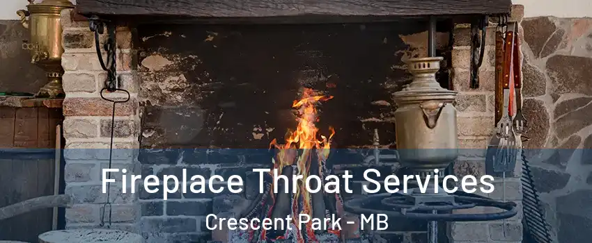  Fireplace Throat Services Crescent Park - MB