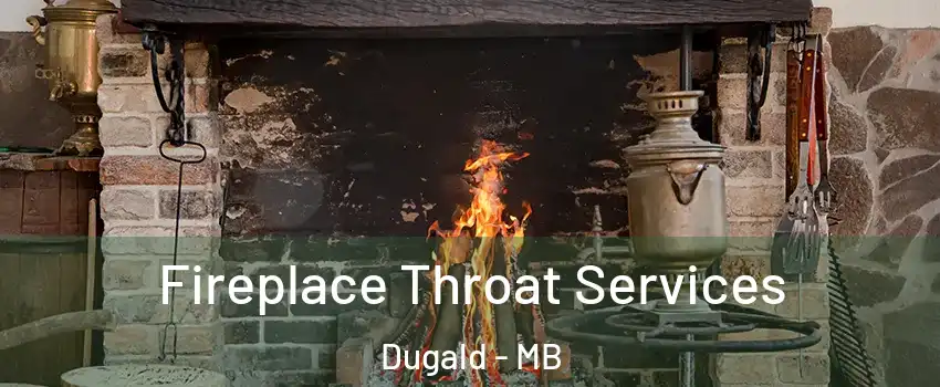  Fireplace Throat Services Dugald - MB