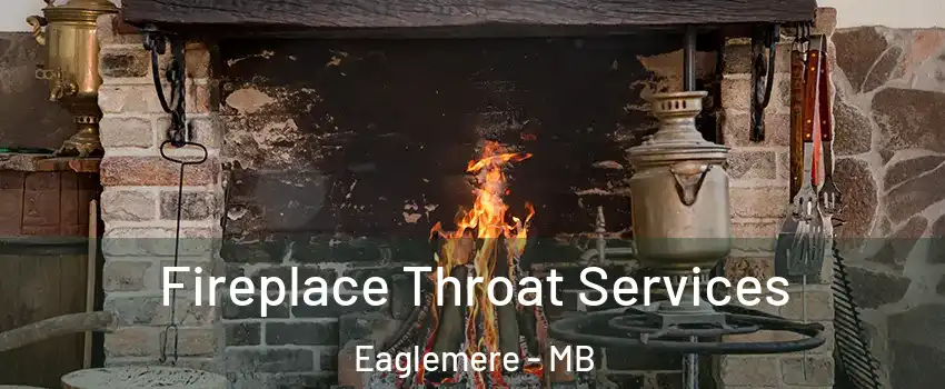  Fireplace Throat Services Eaglemere - MB