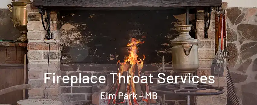  Fireplace Throat Services Elm Park - MB