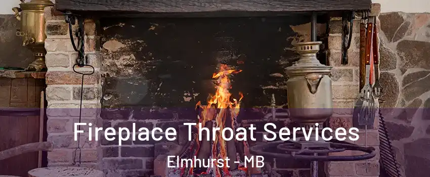 Fireplace Throat Services Elmhurst - MB