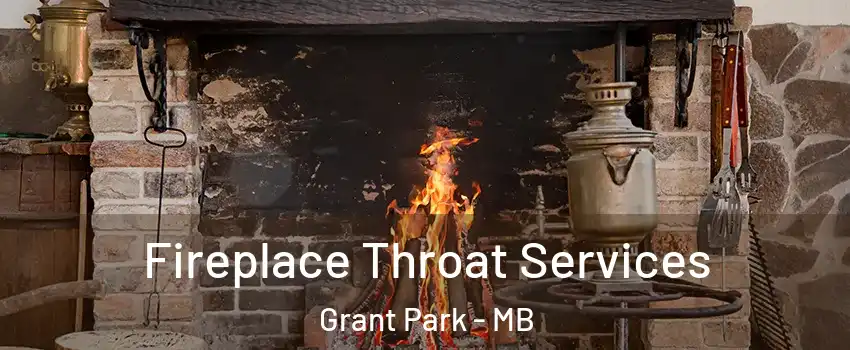  Fireplace Throat Services Grant Park - MB