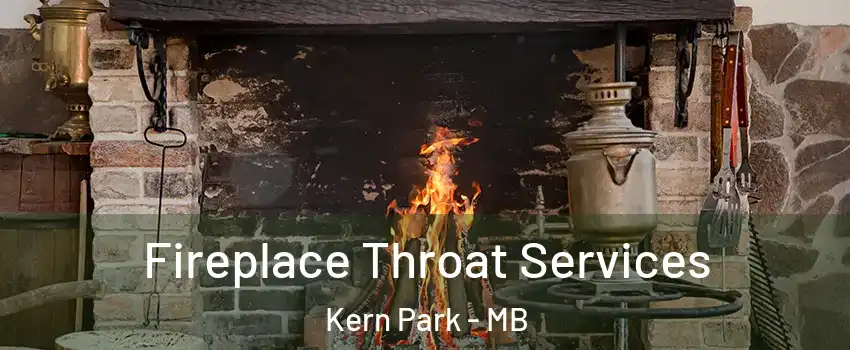  Fireplace Throat Services Kern Park - MB