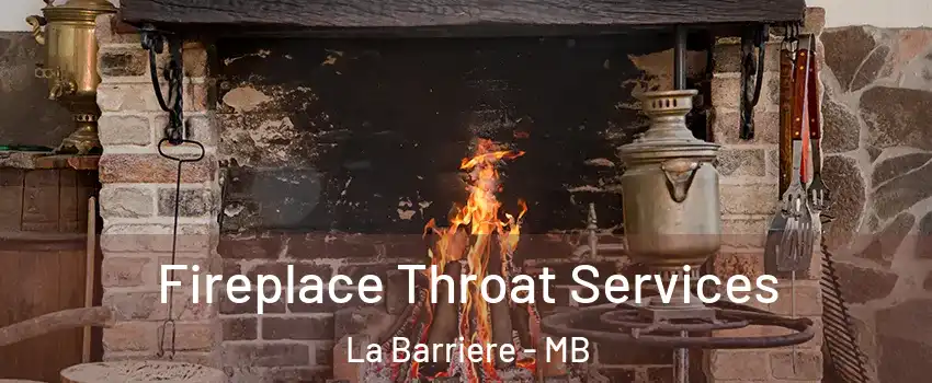  Fireplace Throat Services La Barriere - MB