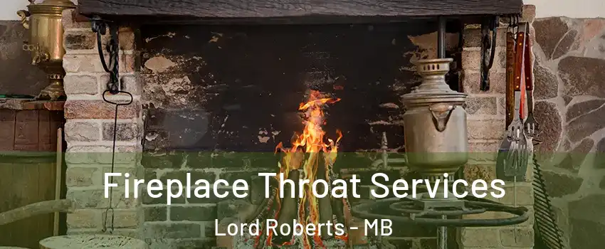  Fireplace Throat Services Lord Roberts - MB
