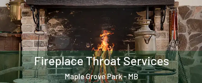  Fireplace Throat Services Maple Grove Park - MB