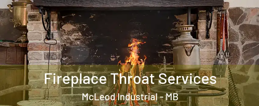  Fireplace Throat Services McLeod Industrial - MB