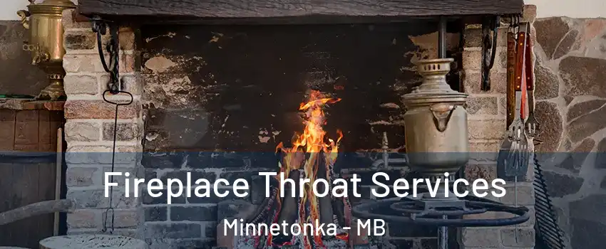  Fireplace Throat Services Minnetonka - MB