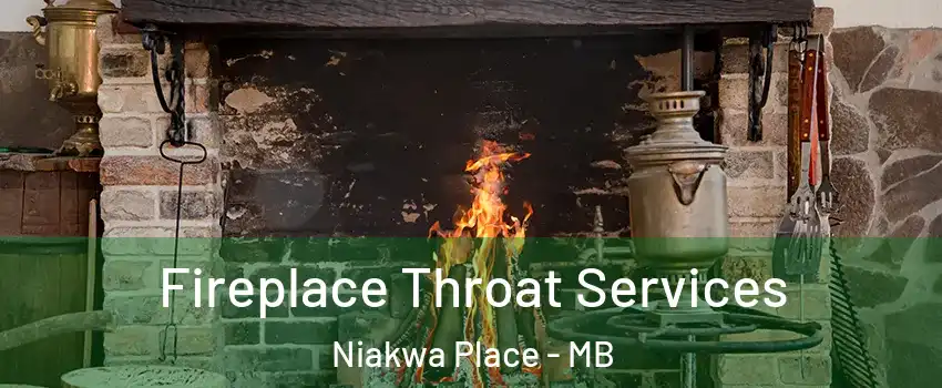  Fireplace Throat Services Niakwa Place - MB
