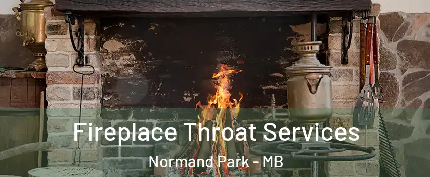  Fireplace Throat Services Normand Park - MB