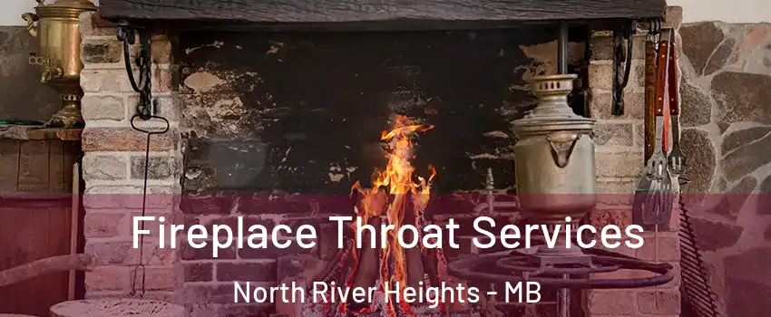  Fireplace Throat Services North River Heights - MB