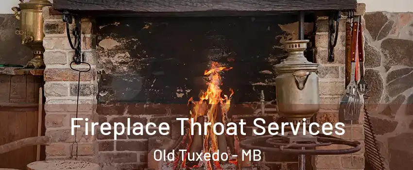  Fireplace Throat Services Old Tuxedo - MB