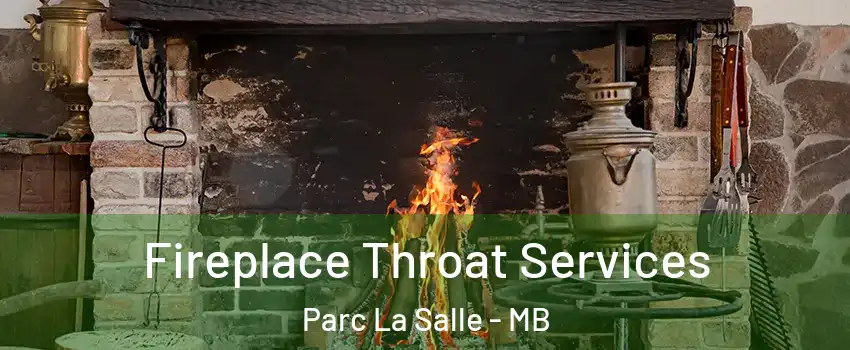  Fireplace Throat Services Parc La Salle - MB