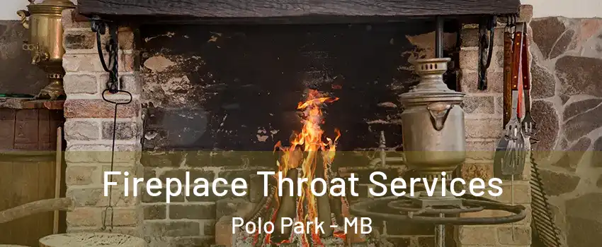  Fireplace Throat Services Polo Park - MB
