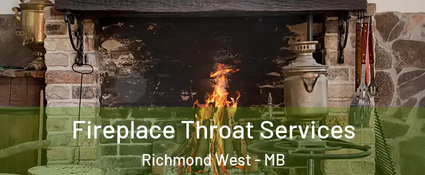  Fireplace Throat Services Richmond West - MB