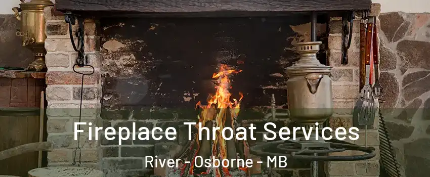  Fireplace Throat Services River - Osborne - MB