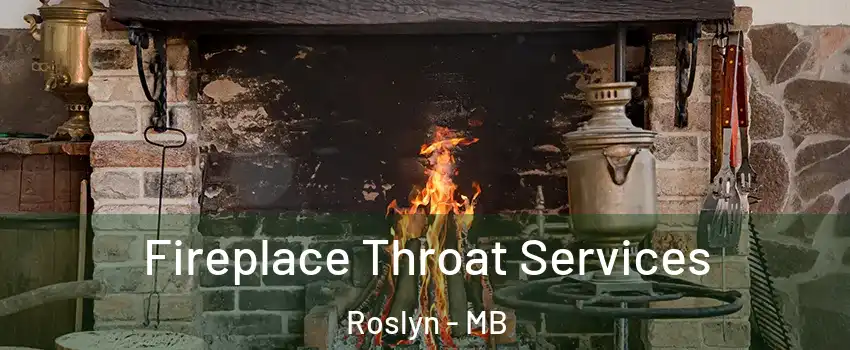  Fireplace Throat Services Roslyn - MB