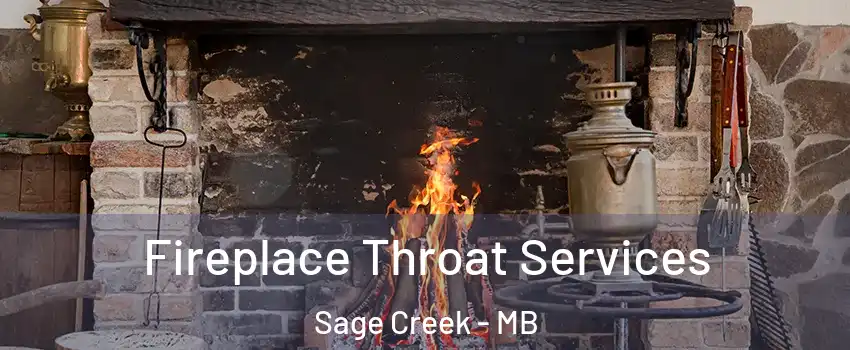  Fireplace Throat Services Sage Creek - MB