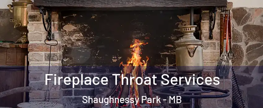 Fireplace Throat Services Shaughnessy Park - MB