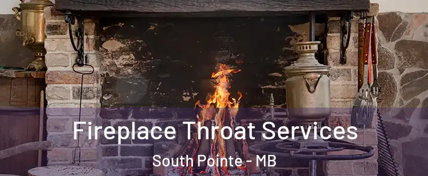  Fireplace Throat Services South Pointe - MB