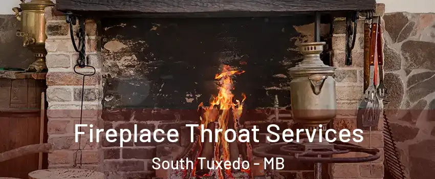  Fireplace Throat Services South Tuxedo - MB