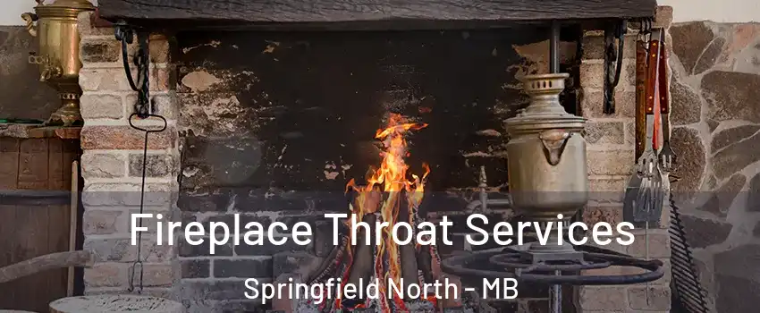  Fireplace Throat Services Springfield North - MB