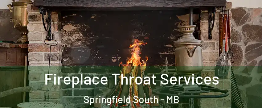 Fireplace Throat Services Springfield South - MB