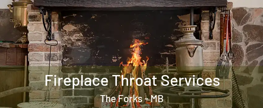  Fireplace Throat Services The Forks - MB