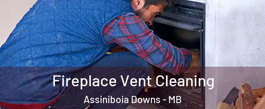  Fireplace Vent Cleaning Assiniboia Downs - MB