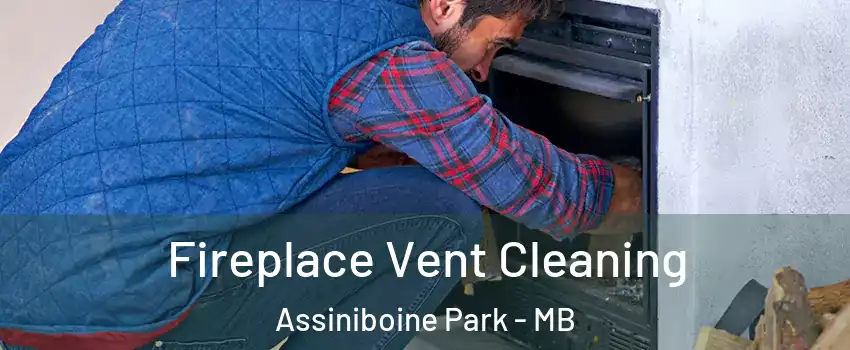 Fireplace Vent Cleaning Assiniboine Park - MB