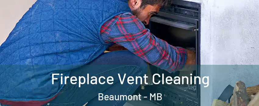  Fireplace Vent Cleaning Beaumont - MB