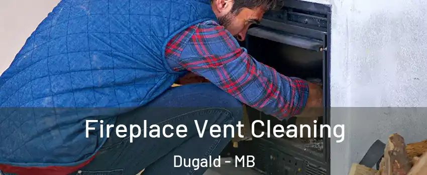  Fireplace Vent Cleaning Dugald - MB