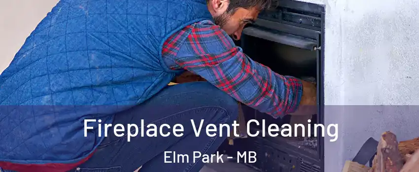  Fireplace Vent Cleaning Elm Park - MB