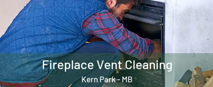  Fireplace Vent Cleaning Kern Park - MB