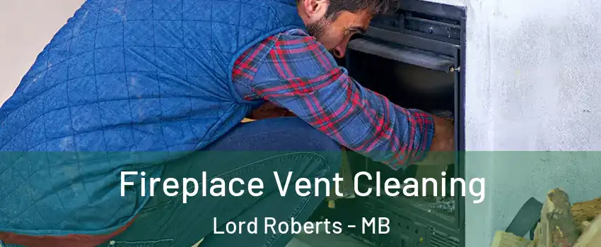 Fireplace Vent Cleaning Lord Roberts - MB