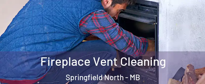  Fireplace Vent Cleaning Springfield North - MB